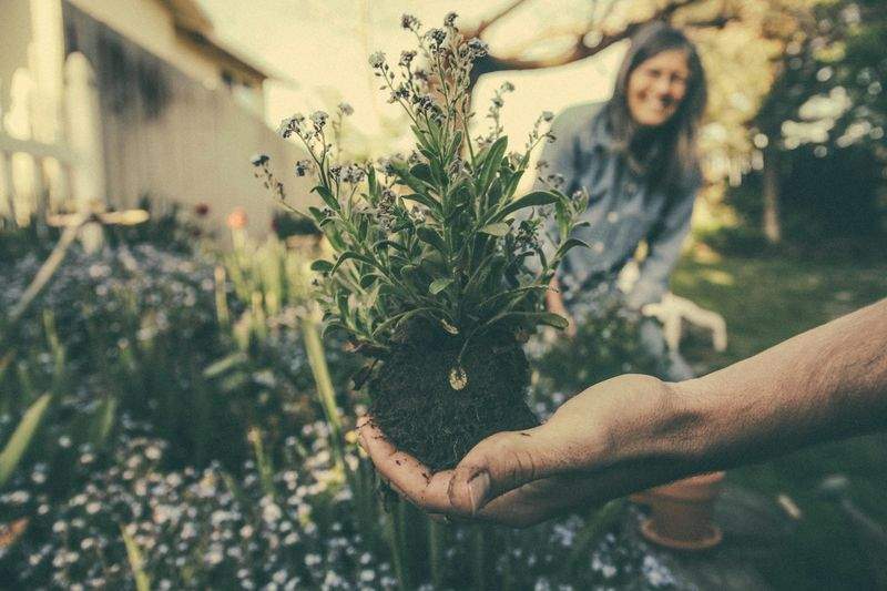 GrünWerk Gartenservice GmbH 11